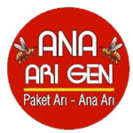 Ana Arı Gen