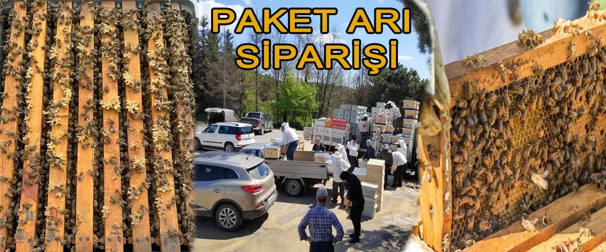 paket arı siparişi