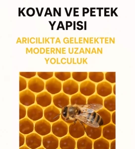 Arıcılıkta Kovan ve Petek Yapısı
